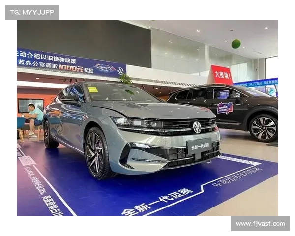 全新一代迈腾在这样的恶劣天气条件下 全新一代迈腾在这样的恶劣天气条件下